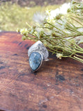 Kyanite Petal Ring